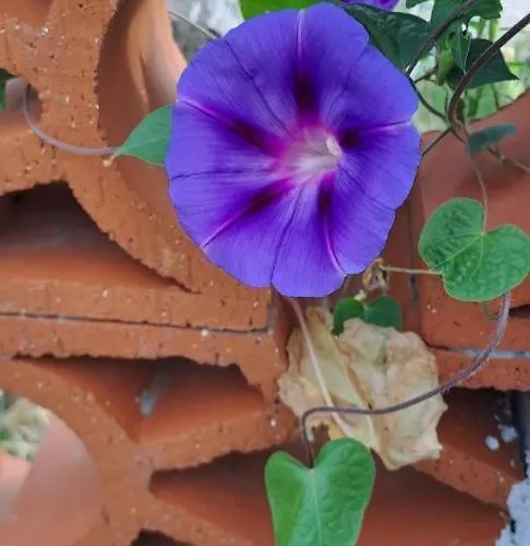 Clair Сasa de vacaciones *