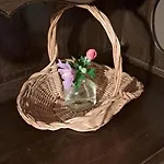 Clair Hébergement de vacances Pins-Justaret