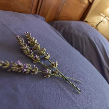 Clair Tatil Evi Pins-Justaret