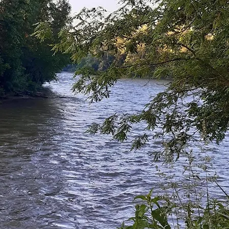 Clair * Pins-Justaret