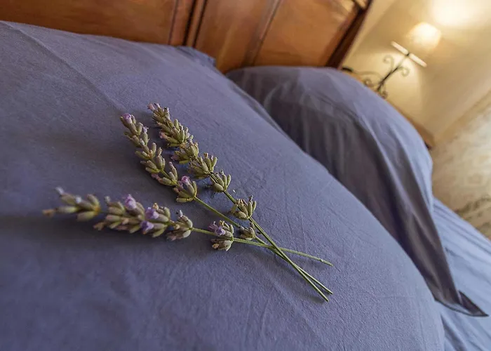 Clair Prázdninový dům Pins-Justaret