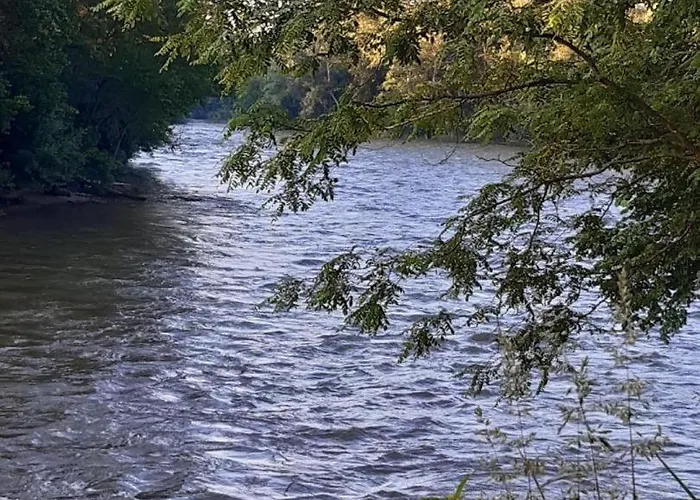 Clair * Pins-Justaret